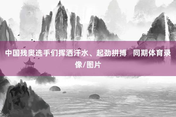 中国残奥选手们挥洒汗水、起劲拼搏   同期体育录像/图片