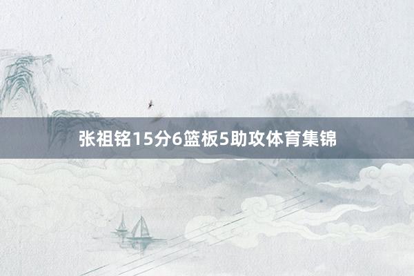 张祖铭15分6篮板5助攻体育集锦