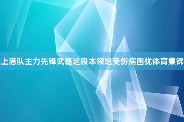 上港队主力先锋武磊这段本领饱受伤病困扰体育集锦