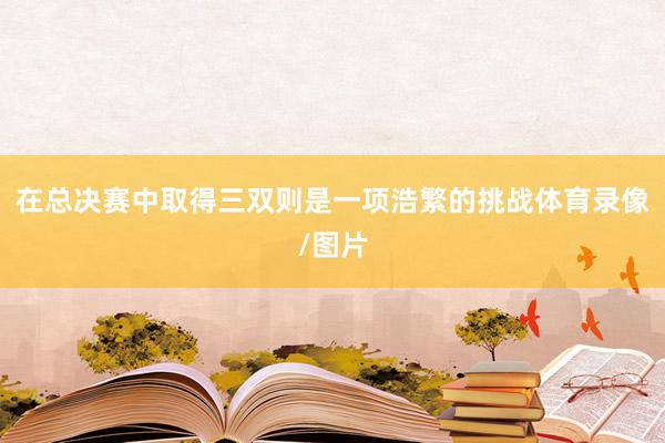 在总决赛中取得三双则是一项浩繁的挑战体育录像/图片