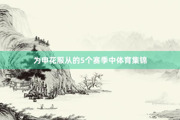 为申花服从的5个赛季中体育集锦