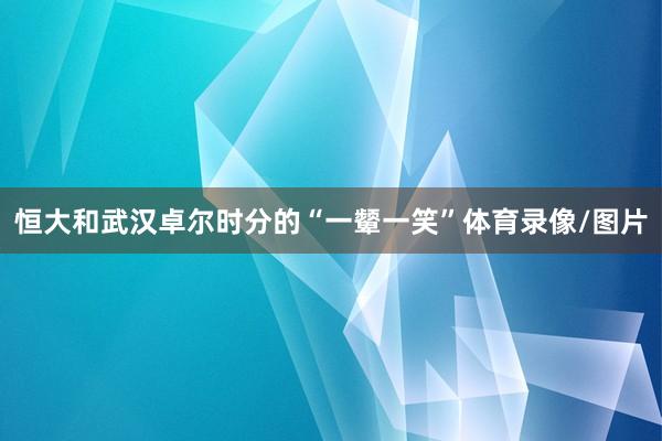 恒大和武汉卓尔时分的“一颦一笑”体育录像/图片