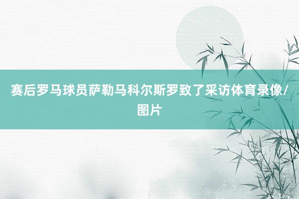 赛后罗马球员萨勒马科尔斯罗致了采访体育录像/图片