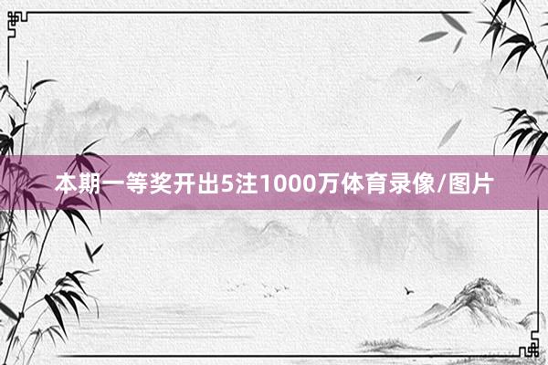 本期一等奖开出5注1000万体育录像/图片