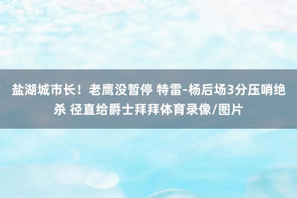 盐湖城市长！老鹰没暂停 特雷-杨后场3分压哨绝杀 径直给爵士拜拜体育录像/图片