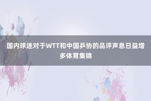 国内球迷对于WTT和中国乒协的品评声息日益增多体育集锦