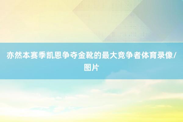 亦然本赛季凯恩争夺金靴的最大竞争者体育录像/图片