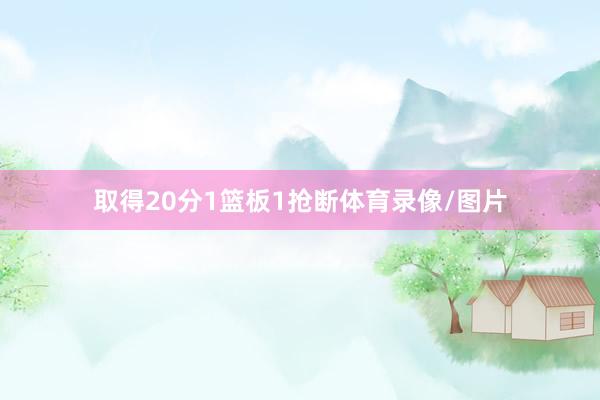 取得20分1篮板1抢断体育录像/图片