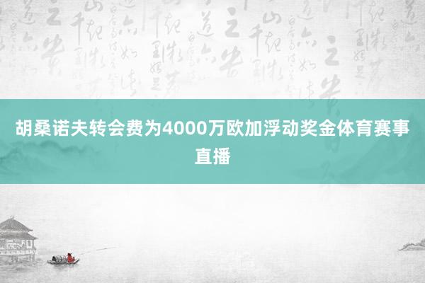 胡桑诺夫转会费为4000万欧加浮动奖金体育赛事直播