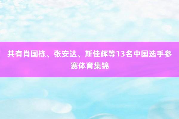 共有肖国栋、张安达、斯佳辉等13名中国选手参赛体育集锦